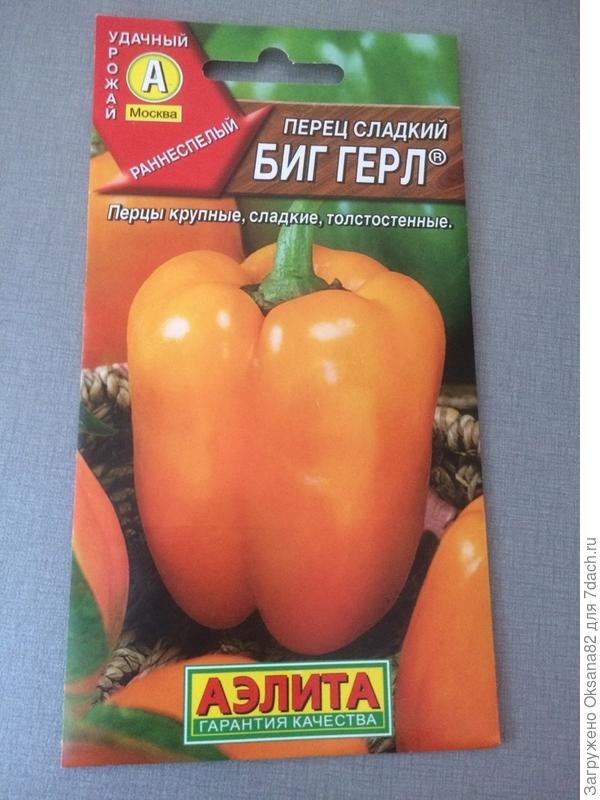 Биг Герл