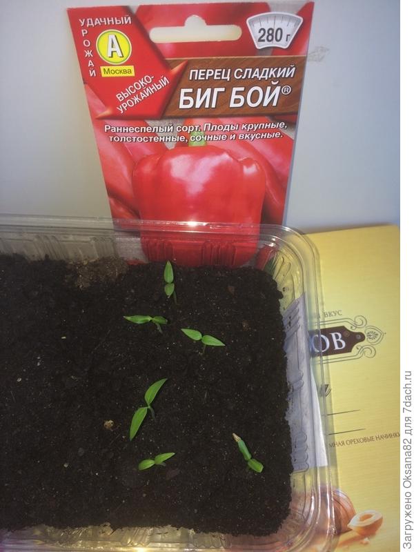 23.03.