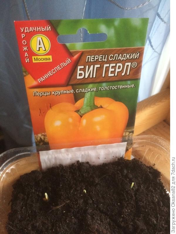 17.03.