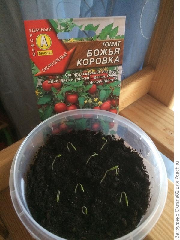 13.03.