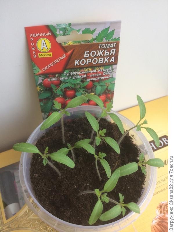 23.03.