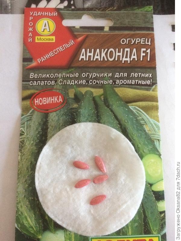 семена