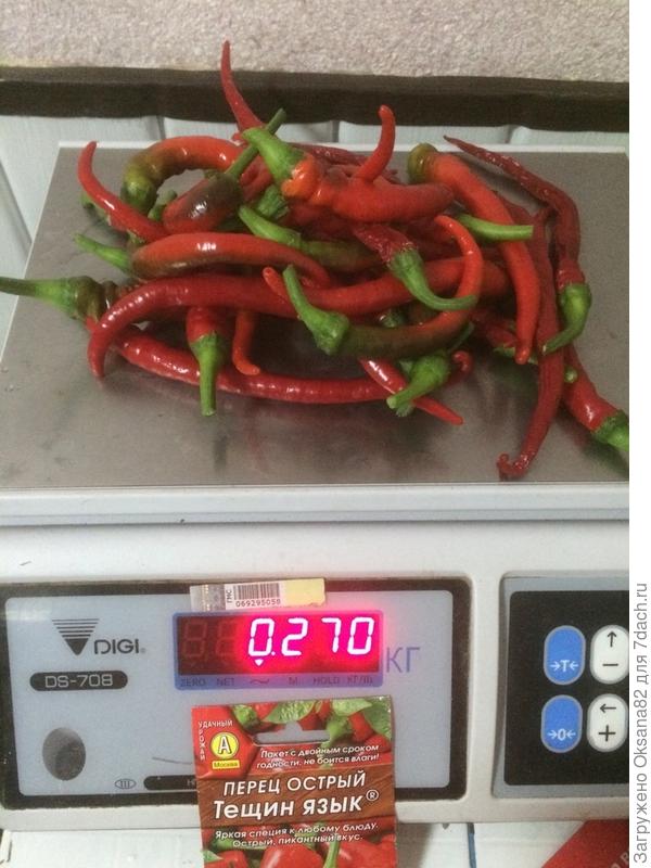 первый сбор