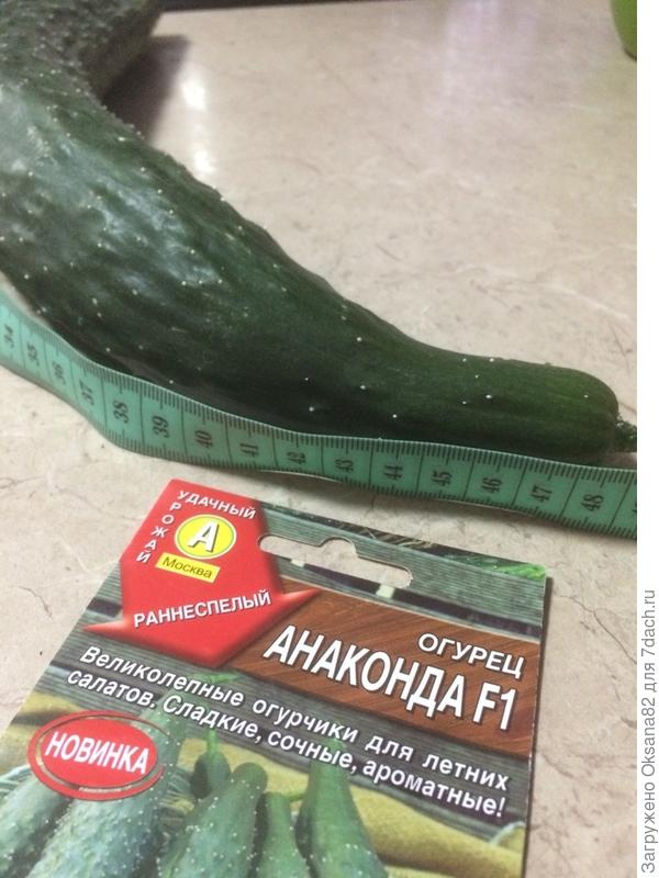 размер