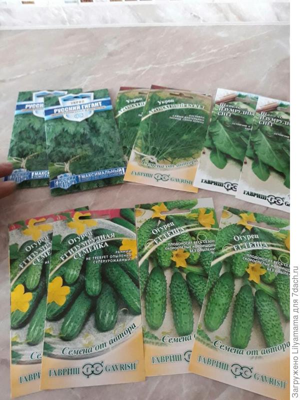 Мои семена (зелень и огурчики) для тестирования!