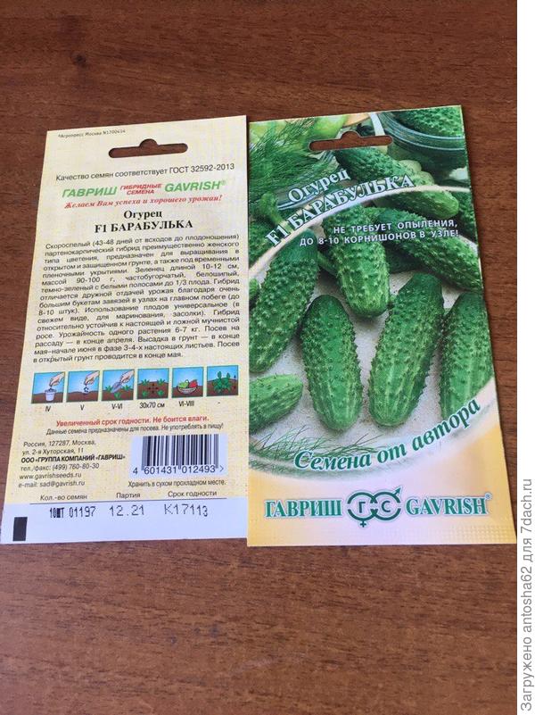 Огурец Барабулька