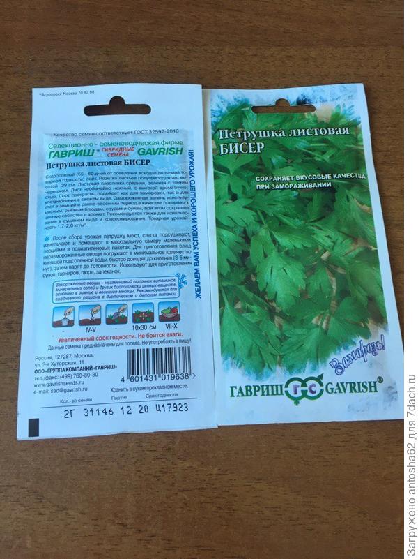 Петрушка Бисер