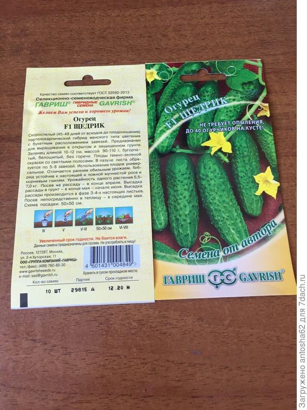 Огурец Щедрик