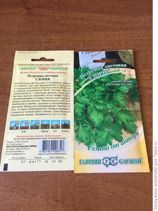 Петрушка Глория