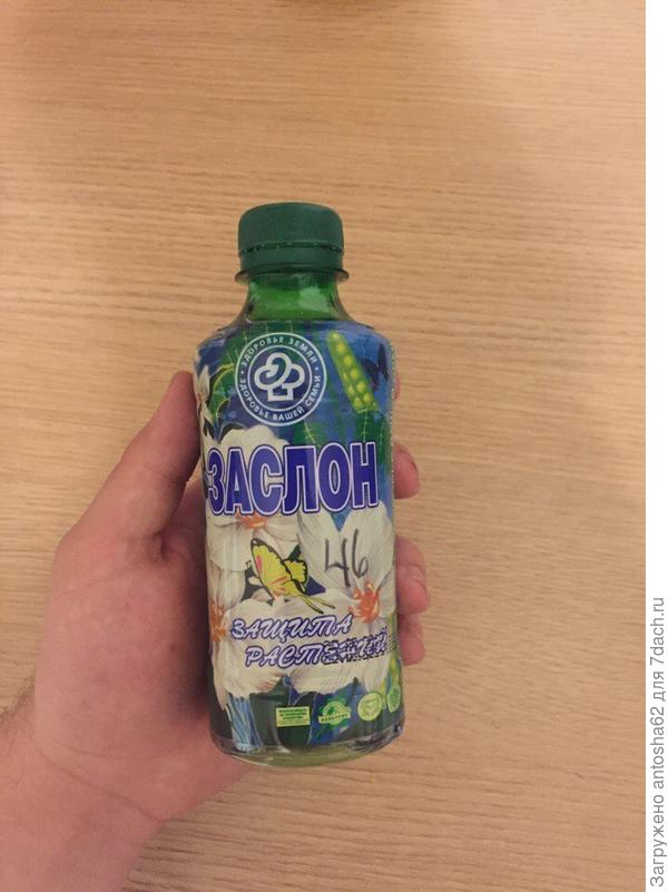 Заслон