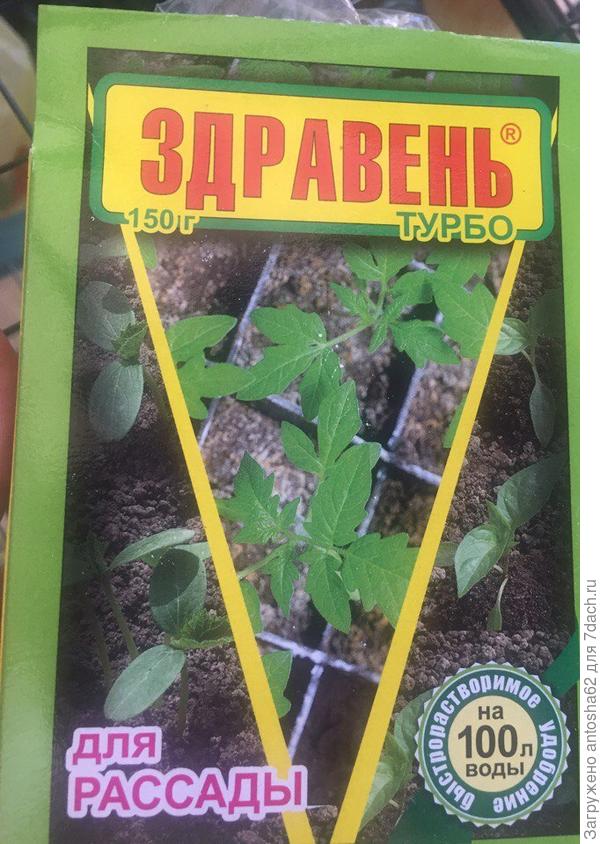 Здравень