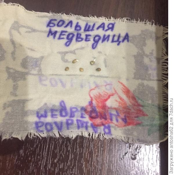 ен