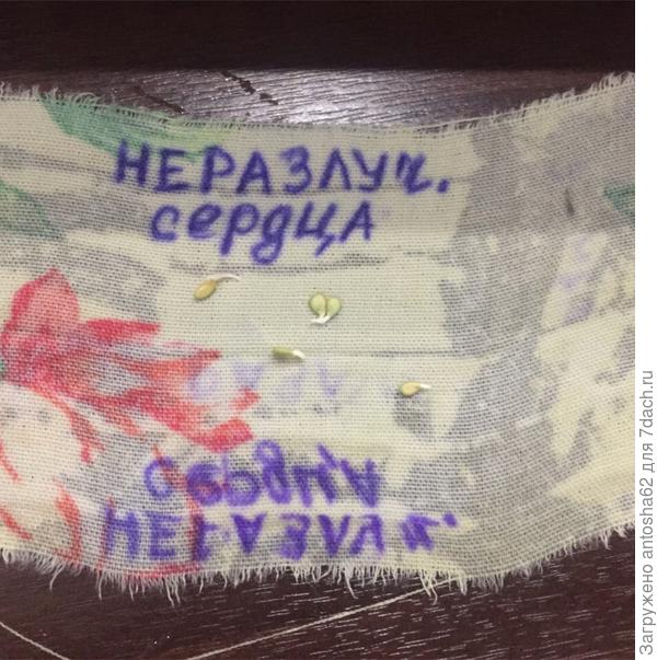 ен