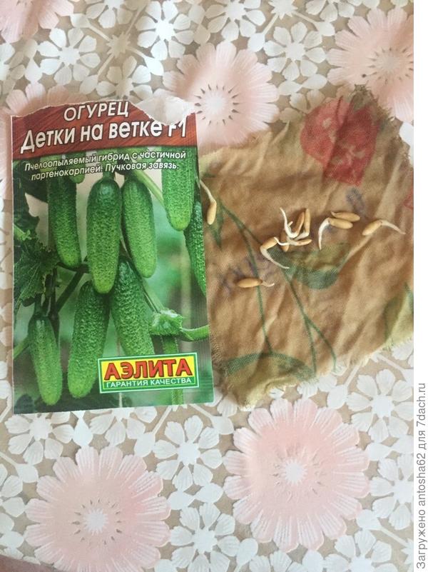 не
