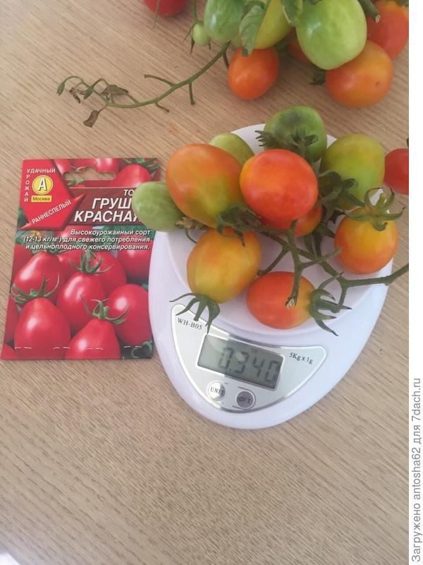 Масса третьей кисти 340 грамма