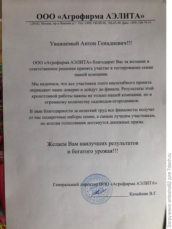 нене
