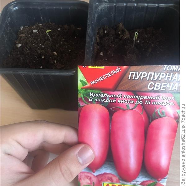 ен