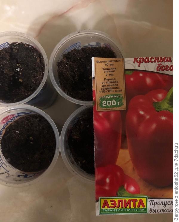 Посев