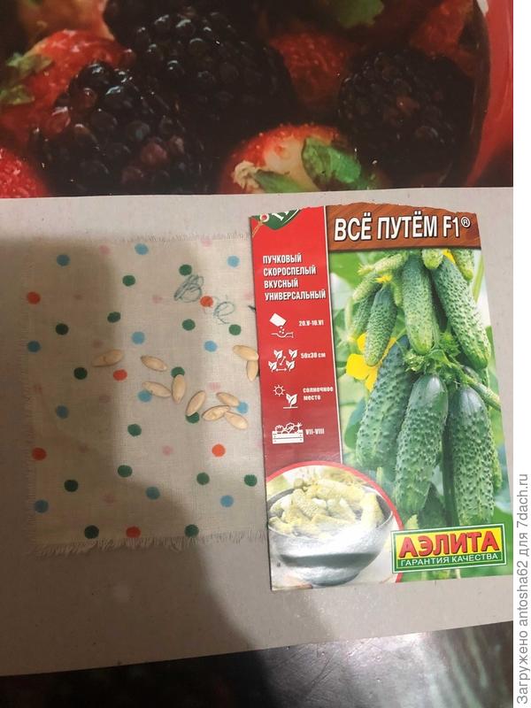 ен