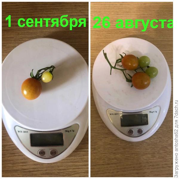 не