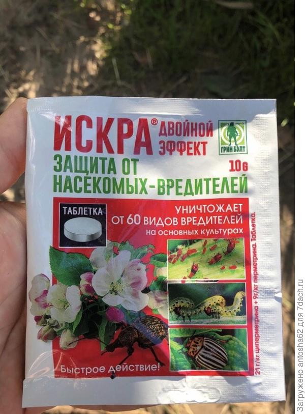 шг
