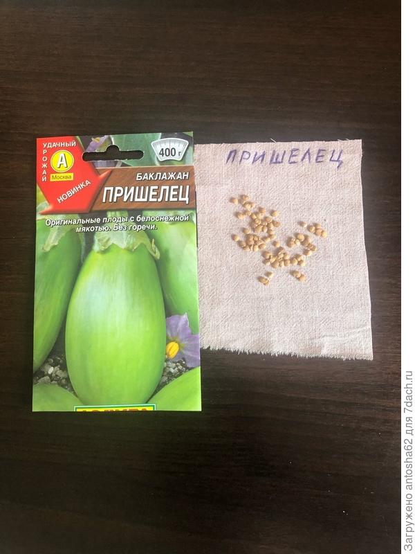 не