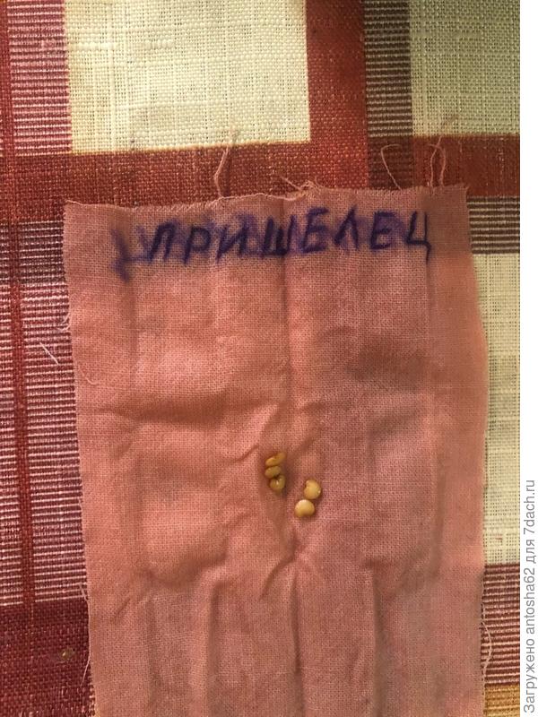 ен