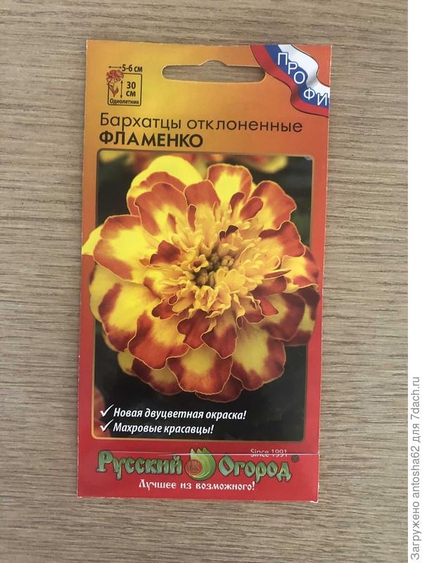 не