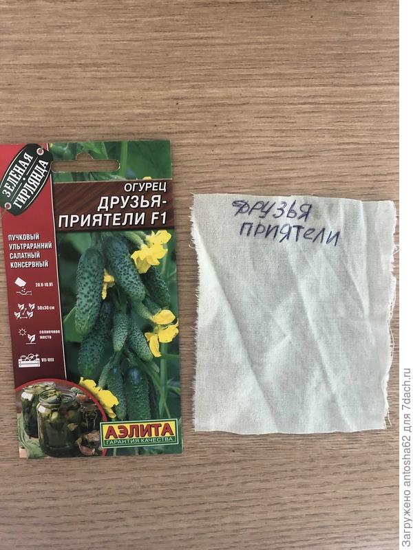 ен