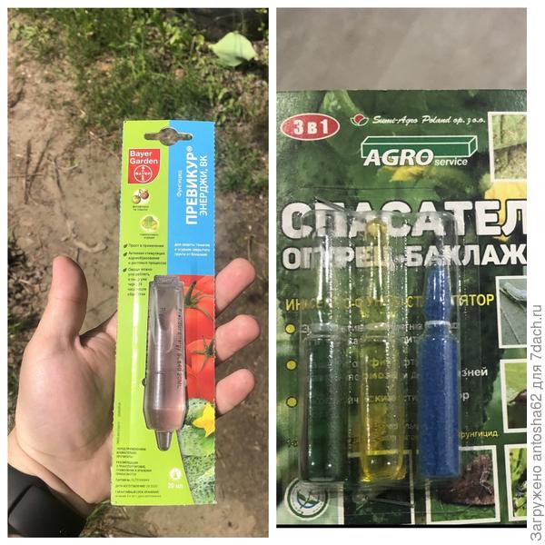 ен