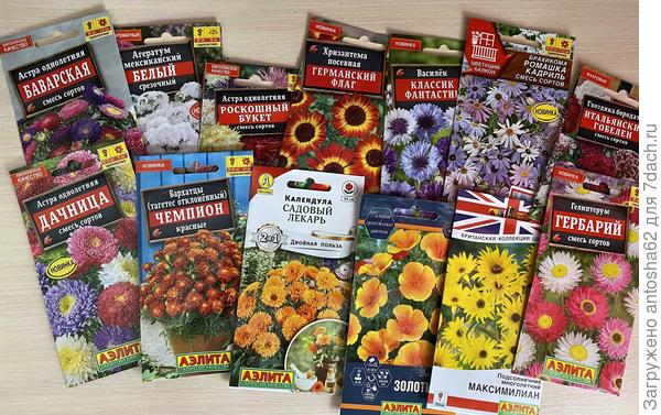 Цветы часть 2