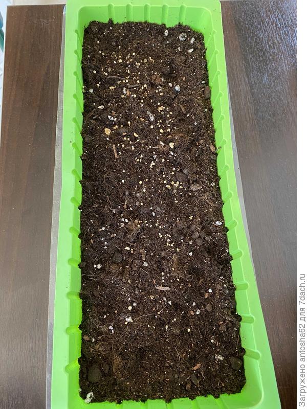 Тара под посев