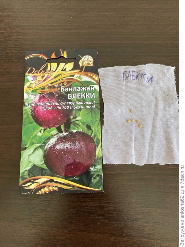 Результаты отбора