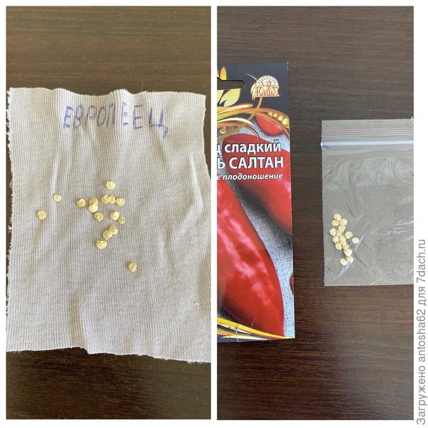 Количество семян