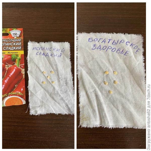 Отобранные семена