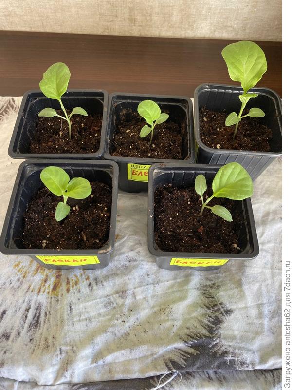 По состоянию на 16 марта