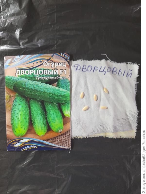 Отобранные семена