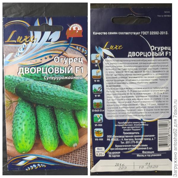 Огурец Дворцовый