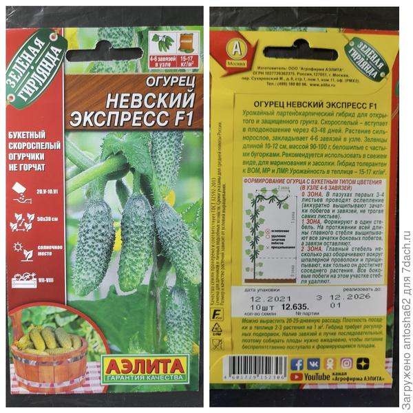 Невский экспресс