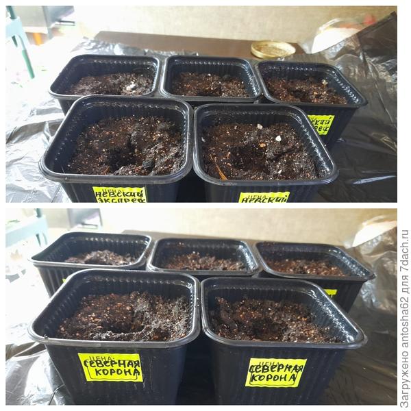 Подготовка к посеву