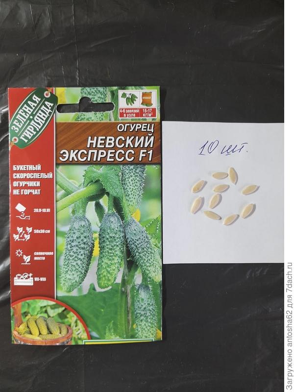 Невский экспресс общее количество семян