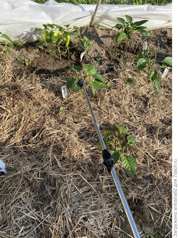 Внекорневая подкормка