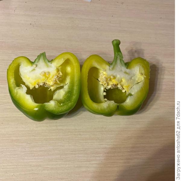 Фото в разрезе