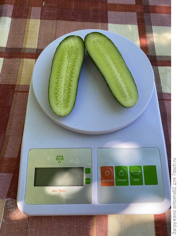 Фото в разрезе