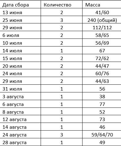 Результаты