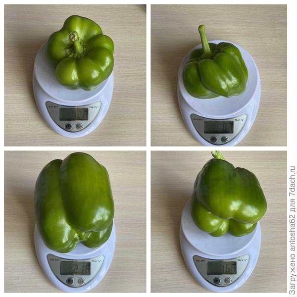 Взвешивание 1