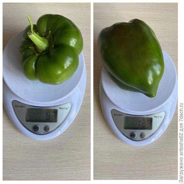 Взвешивание 2