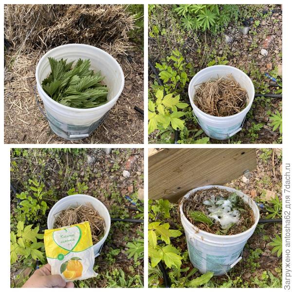 Подготовка подкормки