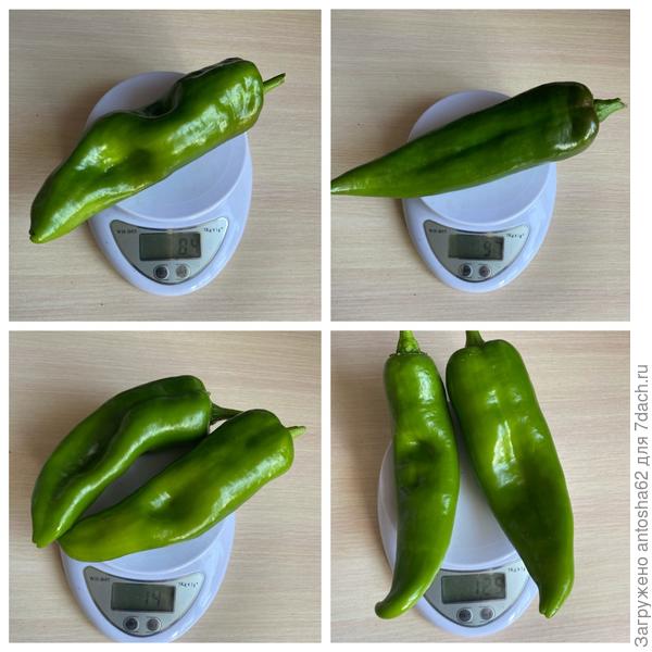 Взвешивание 2