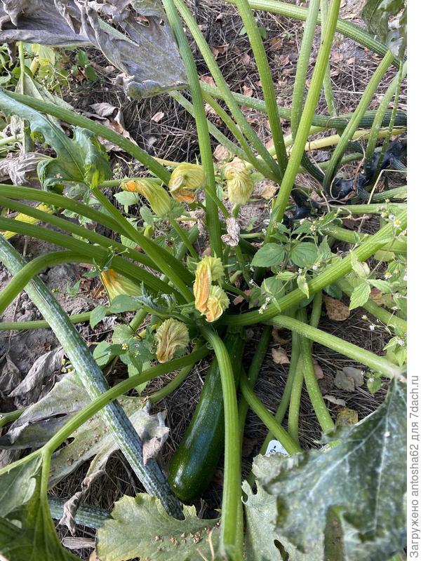 По состоянию на 10 сентября